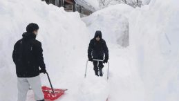 Japonya'da Kar Felaketi: Can Kaybı 30'a Y&uuml;kseldi
