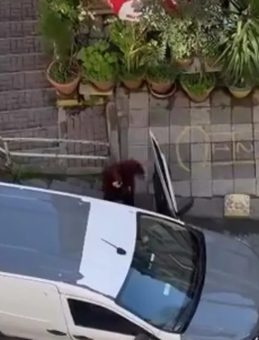 Kadık&ouml;y'de Park Yeri Tartışması: Anlar Kameralara Yansıdı! 'Burası Benim Evimin &Ouml;n&uuml;'