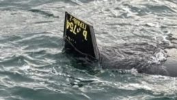 Karaburun A&ccedil;ıklarında İHA İddiası! Ekipler B&ouml;lgeye Sevk Edildi