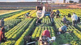 Kırsaldaki Girişimcilere 1.7 Milyar Lira Destek