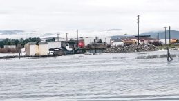 Konsere Para Var, Altyapıya Yok!