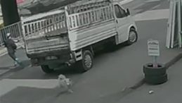 K&ouml;pekten Ka&ccedil;arken Otob&uuml;s &Ccedil;arptı