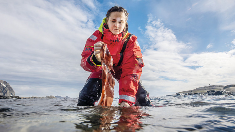 Kutup'ta Araştırmalar Devam Ediyor