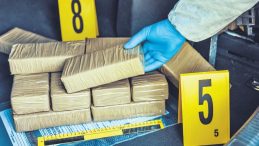 K&uuml;resel Zehir Şebekesinin Taşeron Baronları