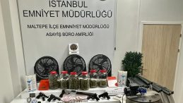Maltepe'de Uyuşturucu Serasına Baskın: Uyuşturucular Saksılara Ekilmiş!