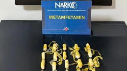 Midesinde Uyuşturucu ile Yurtdışından Geldi, Ordu'da Yakalandı!