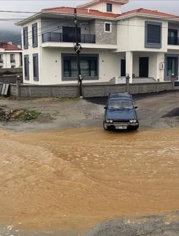 Muğla'da Yağışların Sonucu: Toplam 903 Kilogram