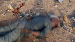 Nijerya'da B&uuml;y&uuml;k Felaket: 170 Kişi Hayatını Kaybetti