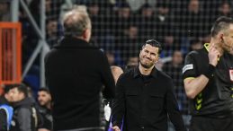 Nuri Şahin'den Sergen Yal&ccedil;ın Yorumu!