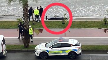 Ordu'nun &Uuml;nye il&ccedil;esinde sahile vurdu: B&ouml;lgeye ekipler sevk edildi