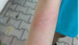 &Ouml;ğretmene Hapis Cezası! Demir &Ccedil;ubuk 'Silah' Olarak Değerlendirildi