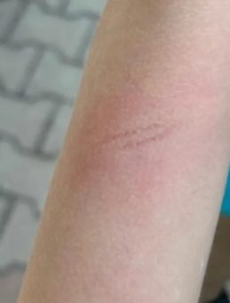 &Ouml;ğretmene Hapis Cezası! Demir &Ccedil;ubuk 'Silah' Olarak Değerlendirildi