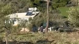 SABAH'ın Edindiği Bilgilere G&ouml;re! Zeytin Ağa&ccedil;ları Katledildi: Şok Edici G&ouml;r&uuml;nt&uuml;ler!