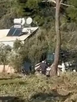 SABAH'ın Edindiği Bilgilere G&ouml;re! Zeytin Ağa&ccedil;ları Katledildi: Şok Edici G&ouml;r&uuml;nt&uuml;ler!