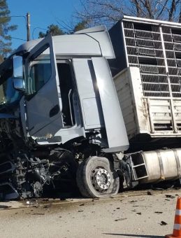 Sakarya'da TIR ve otomobil arasında feci kaza: Sıkışan s&uuml;r&uuml;c&uuml; kurtarılamadı!