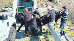 Saliha&rsquo;yı boğup yol kenarına attılar