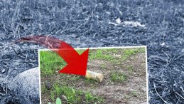 Şaşkına &ccedil;eviren olay: Piknikte bulup 10 g&uuml;n evinde sakladı; m&uuml;zeye g&ouml;t&uuml;r&uuml;nce alarm verildi