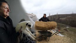 Şehir Hayatına Elveda: Doğum G&uuml;n&uuml; Hediyesi ile Yeni Bir Hayata Merhaba!