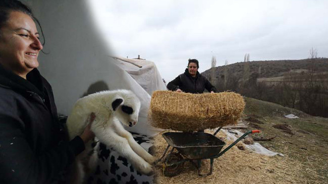 Şehir Hayatına Elveda: Doğum Günü Hediyesi ile Yeni Bir Hayata Merhaba!