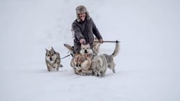 Şehir Hayatına Veda! Eksi 30 Derecede Tek Başına: T&uuml;rk K&uuml;lt&uuml;r&uuml;n&uuml; Yaşatmak İ&ccedil;in Doğaya Karşı Koyuyor
