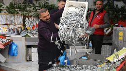 Sezon Başında 400 Lira Olan Hamsi, 50 Liraya D&uuml;şt&uuml;: 'Rağbet &Ccedil;ok Fazla'