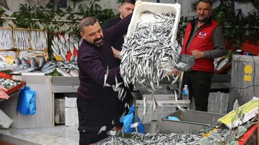 Sezon Başında 400 Lira Olan Hamsi, 50 Liraya D&uuml;şt&uuml;: 'Rağbet &Ccedil;ok Fazla'