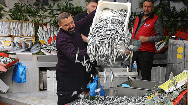 Sezon Başında 400 Lira Olan Hamsi, 50 Liraya D&uuml;şt&uuml;: 'Rağbet &Ccedil;ok Fazla'
