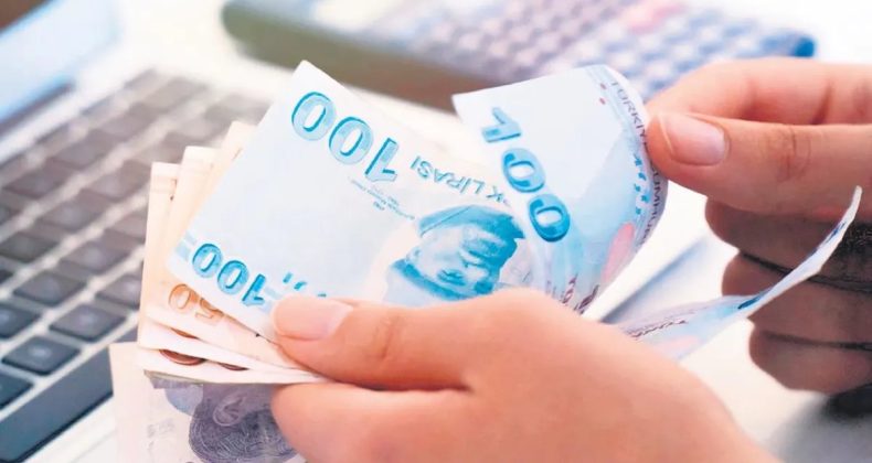 Şimşek: L&uuml;ks Harcamalar &Uuml;zerine &Ccedil;alışma Yapıyoruz