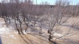 Sivas'ta Şiddetli Yağış Sonrası Kızılırmak Nehri'nin Taşması: K&ouml;y Yolu Ulaşıma Kapandı!