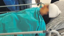 Sokak K&ouml;pekleri Dehşet Sa&ccedil;tı