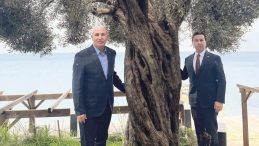 Tanal&rsquo;a Gelen Vatandaş Tepkisi: Zeytinleri Kesen İl&ccedil;e Başkanı 'Zeytinime Dokunma' Dedi