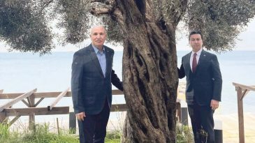 Tanal&rsquo;a Gelen Vatandaş Tepkisi: Zeytinleri Kesen İl&ccedil;e Başkanı 'Zeytinime Dokunma' Dedi