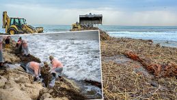 Taşkın Sularıyla Denize Ulaştı: 150 Kamyon Temizlik Yapıldı!
