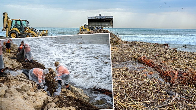 Taşkın Sularıyla Denize Ulaştı: 150 Kamyon Temizlik Yapıldı!