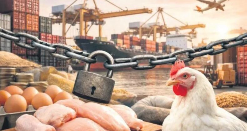 Tavuk Eti İhracatı Durduruldu