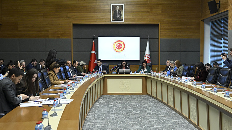 TBMM Su&ccedil;a S&uuml;r&uuml;klenen &Ccedil;ocuklara İlişkin Araştırma Komisyonu Toplandı