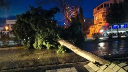 Tekirdağ'da Şiddetli Fırtına: &Ccedil;atılar U&ccedil;tu, Ağa&ccedil;lar Devrildi