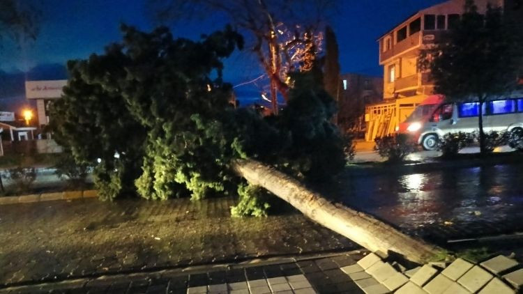 Tekirdağ'da Şiddetli Fırtına: Çatılar Uçtu, Ağaçlar Devrildi