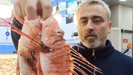 Tezgah Satışı Yasak: Zehirli Dikenli Aslan Balığının &Ouml;zellikleri ve T&uuml;ketimi