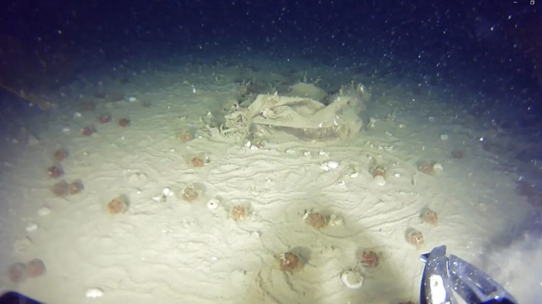 THY'nin 51 Yıl &Ouml;nce D&uuml;şen U&ccedil;ağının Enkazından Yeni Par&ccedil;alar Elde Edildi