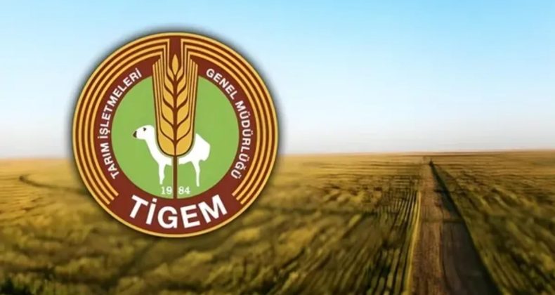 TİGEM İhaleyle 732 Ton Yem Ham Maddesi Temin Edecek