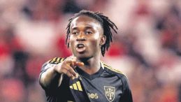 Trabzon Buldu, Aslan Kaptı