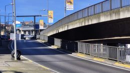 Trabzon'da Sokak K&ouml;pekleri Nedeniyle Yaşanan Paniğin Ardından 21 Yaşındaki Nesibe G&uuml;l'&uuml;n Tedavisi Devam Ediyor