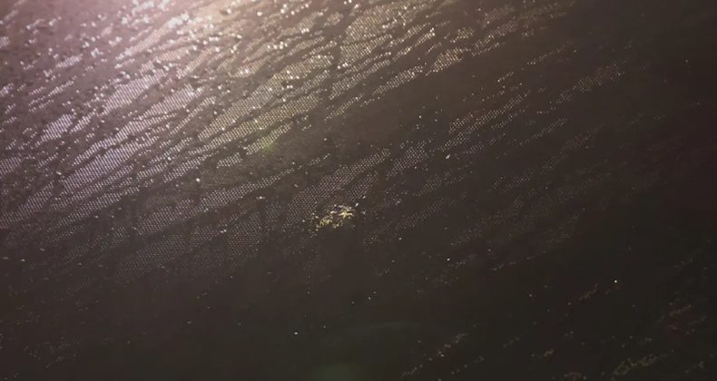 Trabzonspor'un Takım Otob&uuml;s&uuml;ne Samsun'da Taşlı Saldırı!