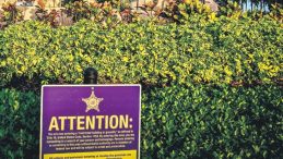 Trump&rsquo;ın Malik&acirc;nesinde Cinayet