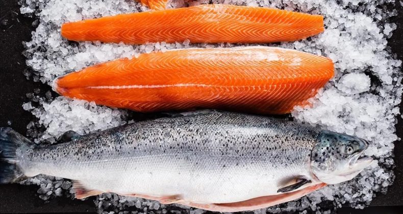 T&uuml;rk Somonu İhracatı Ocakta Y&uuml;zde 39 Arttı