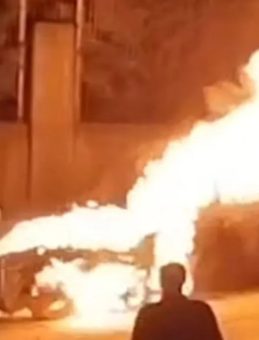 Tuzla'da Park Halindeki Ara&ccedil; Alev Alev Yandı!