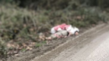 Umut Tacirleri Tarafından TIR ile Getirilen G&ouml;&ccedil;menlerden Biri Soğuktan Hayatını Kaybetti