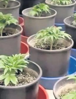 Uyuşturucu İmalathanesi Ele Geçirildi