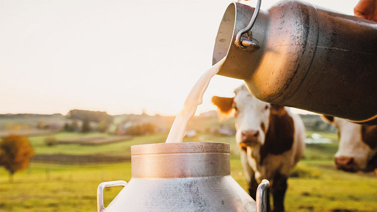 Uzmanlardan Uyarı: 'Sokak S&uuml;t&uuml;' Modasına Dikkat Edin